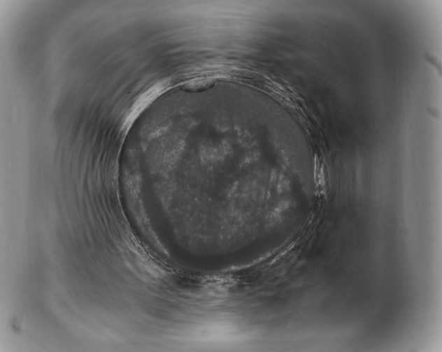 X0000102380099200808221811