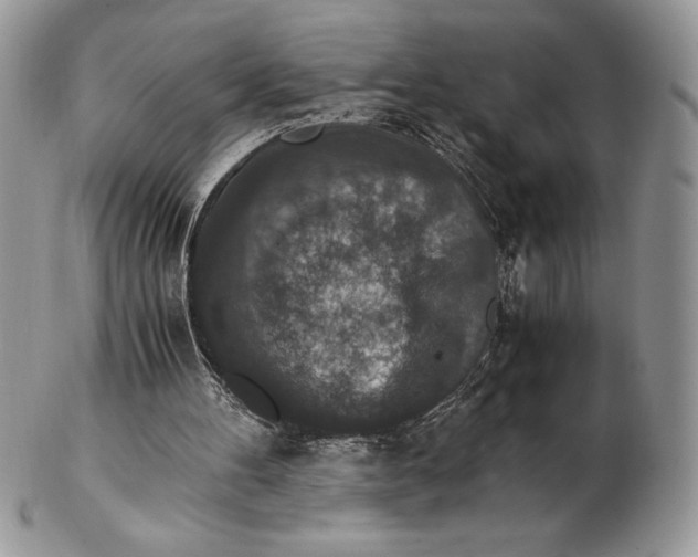 X0000102380100200808221811