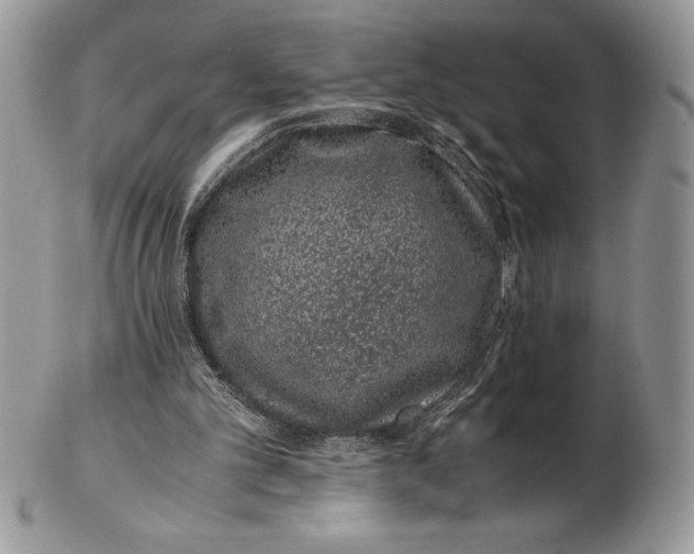 X0000102380101200808221811