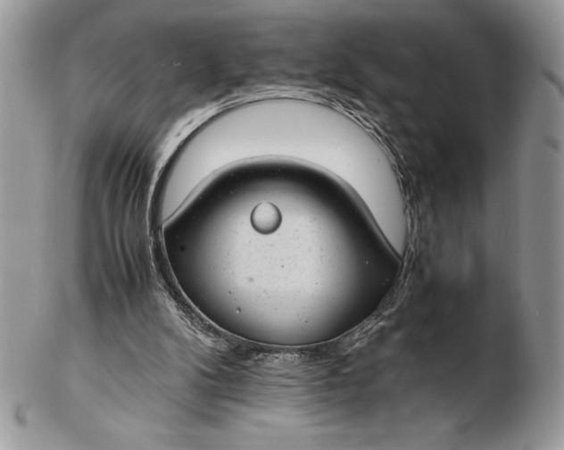 X0000102380104200808221811