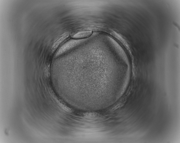 X0000102380105200808221811