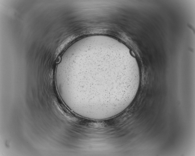 X0000102380107200808221811