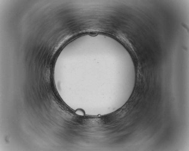 X0000102380108200808221811