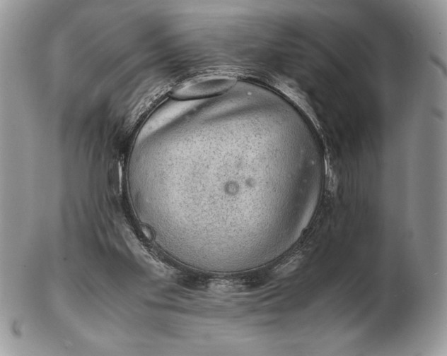 X0000102380109200808221811