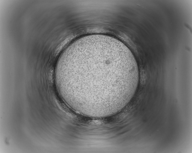 X0000102380111200808221811