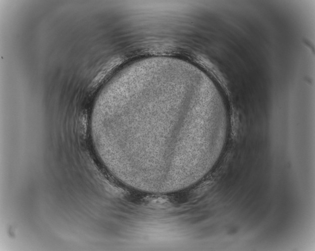 X0000102380113200808221811