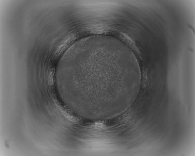 X0000102380114200808221811