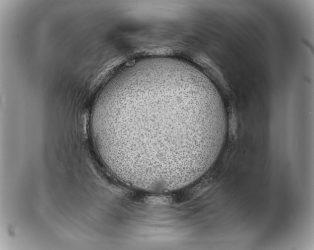 X0000102380115200808221811