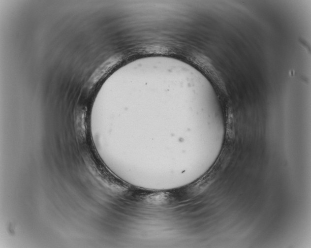 X0000102380116200808221811