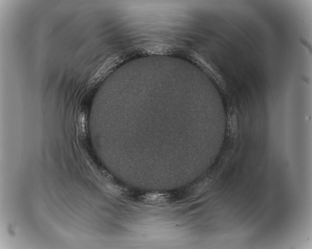 X0000102380117200808221811