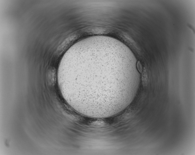 X0000102380119200808221810