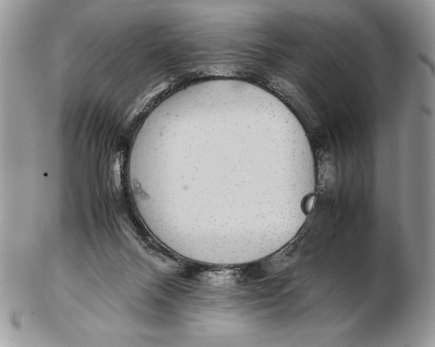 X0000102380120200808221810