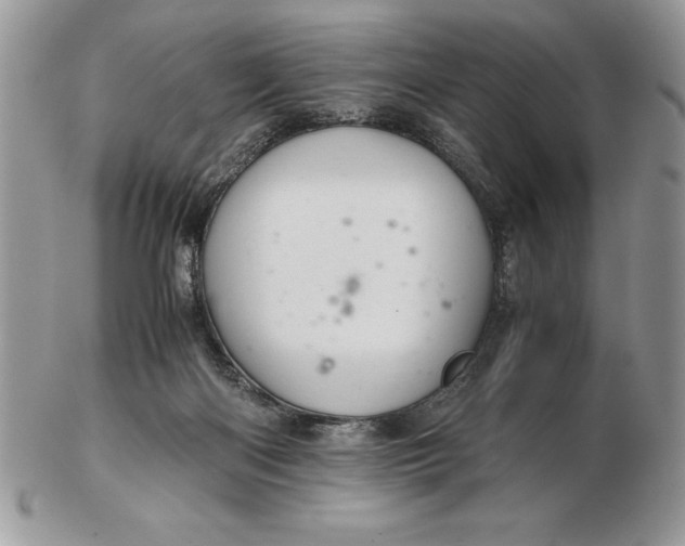 X0000102380122200808221810