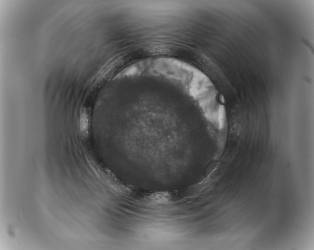 X0000102380124200808221810