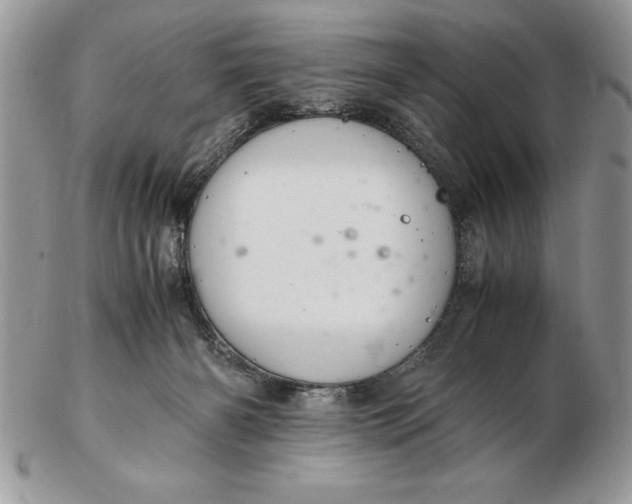 X0000102380126200808221810