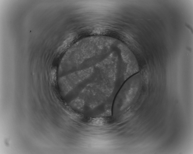 X0000102380127200808221810