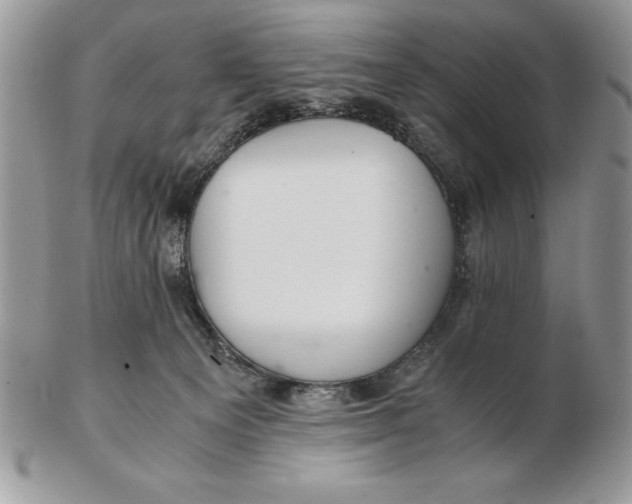 X0000102380129200808221810