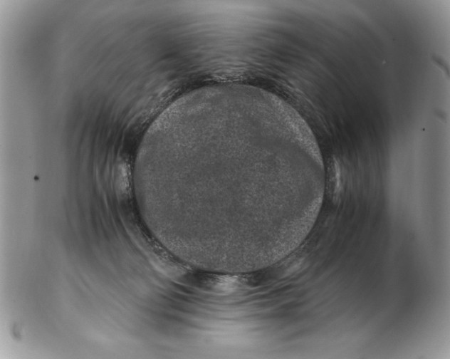 X0000102380130200808221810