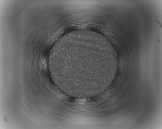 X0000102380131200808221810