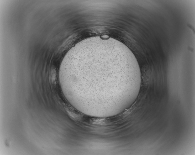 X0000102380132200808221810