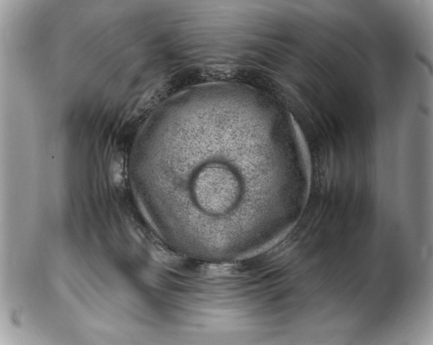 X0000102380134200808221810