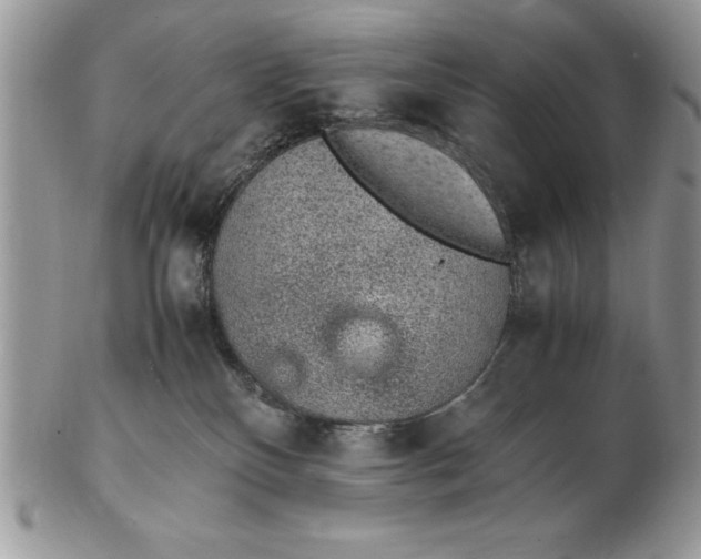 X0000102380136200808221810