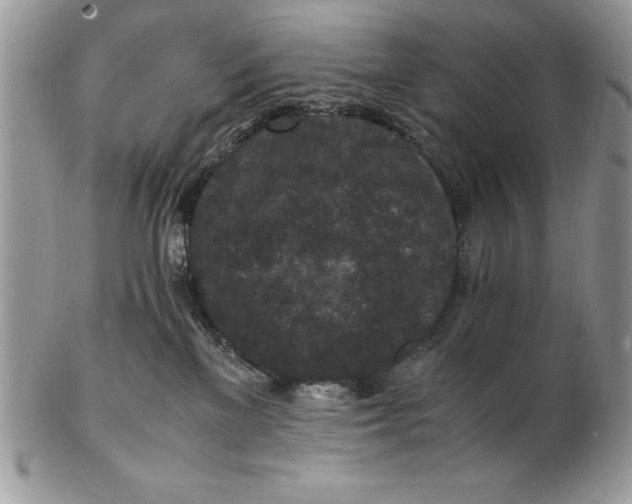 X0000102380137200808221810