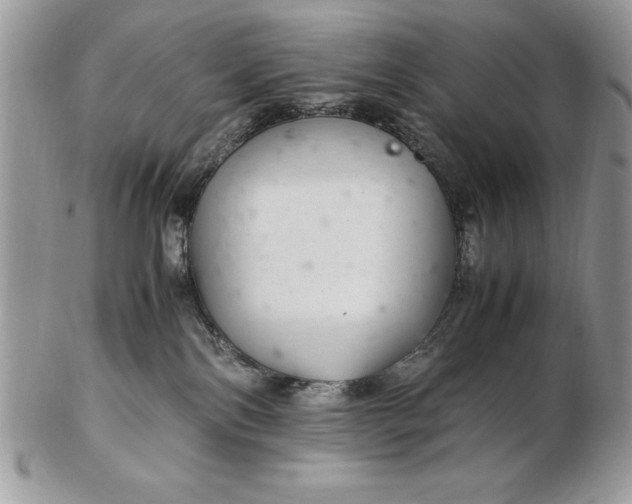 X0000102380138200808221810