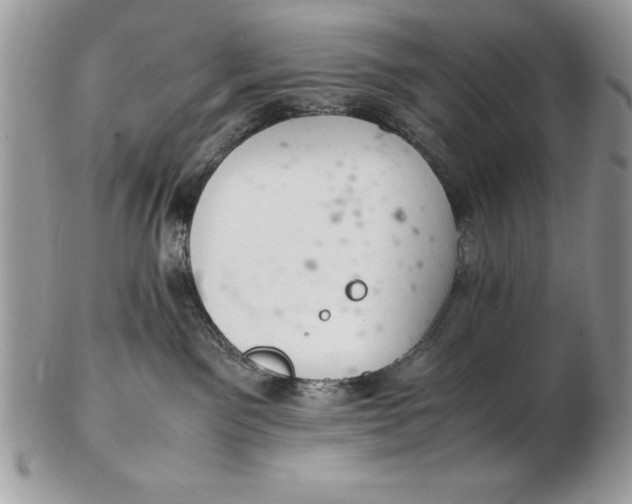 X0000102380141200808221810