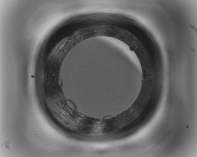 X0000102380143200808221810