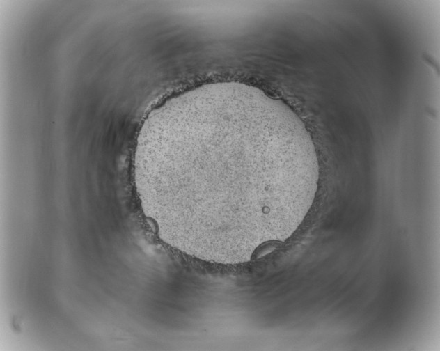 X0000102380144200808221810