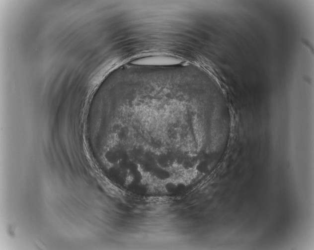 X0000102380145200808221809