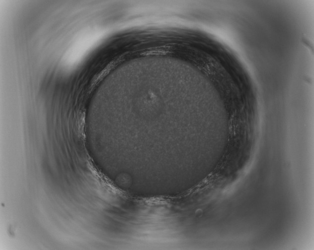 X0000102380146200808221809