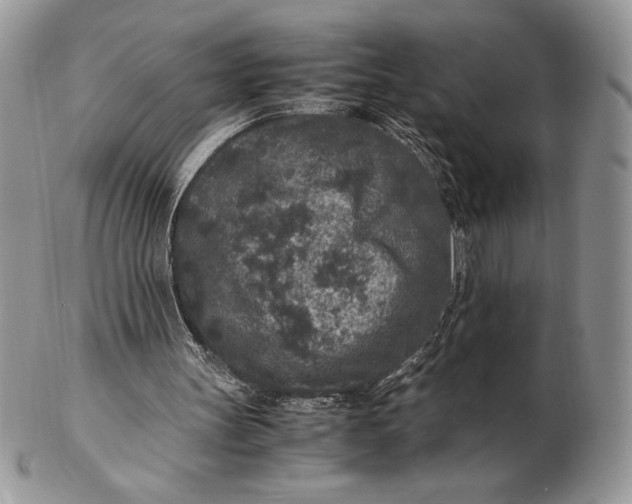 X0000102380147200808221809