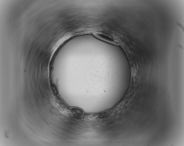 X0000102380148200808221810