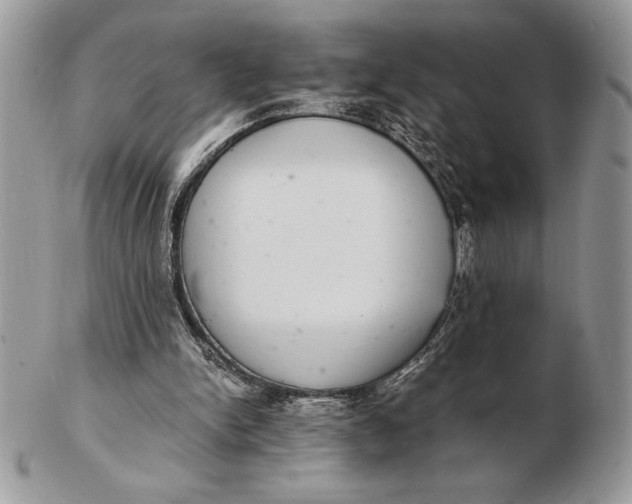 X0000102380150200808221810