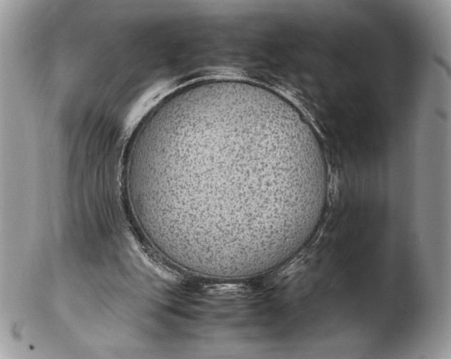 X0000102380151200808221810