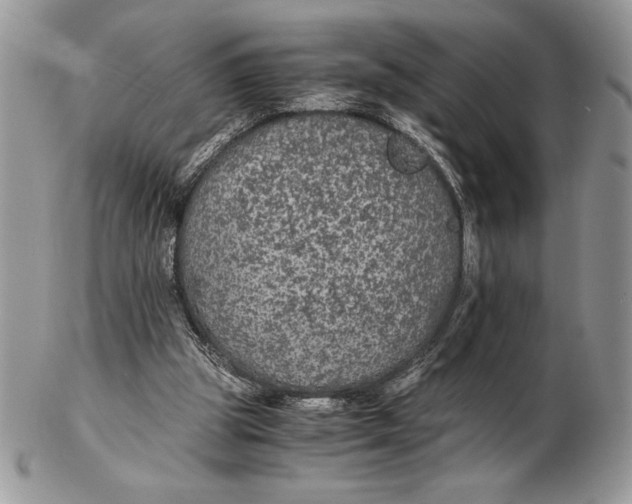 X0000102380153200808221810