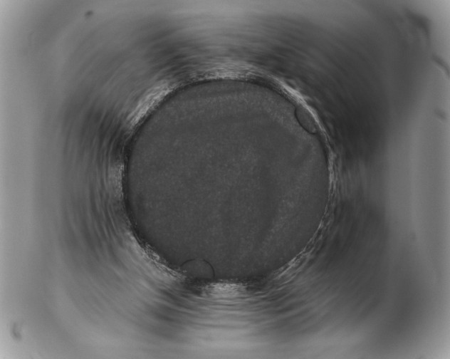 X0000102380154200808221810