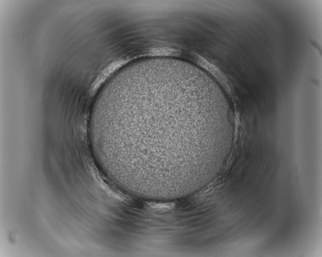 X0000102380155200808221810