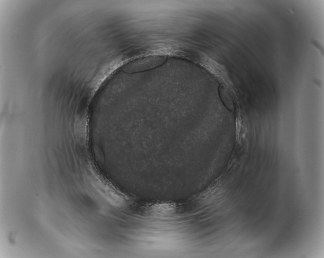 X0000102380156200808221810