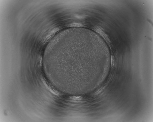 X0000102380157200808221810