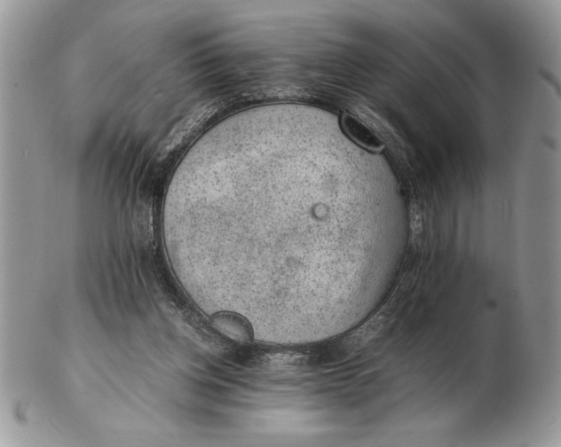 X0000102380158200808221810