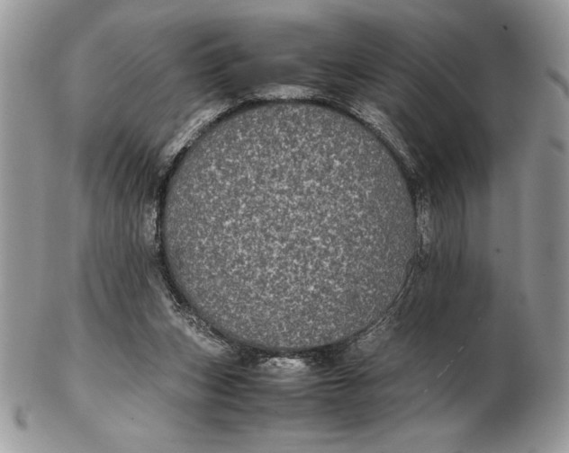 X0000102380159200808221810