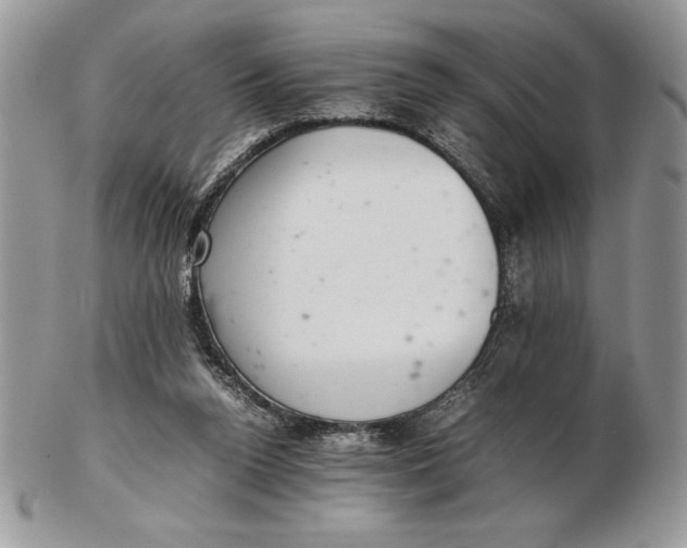 X0000102380160200808221810