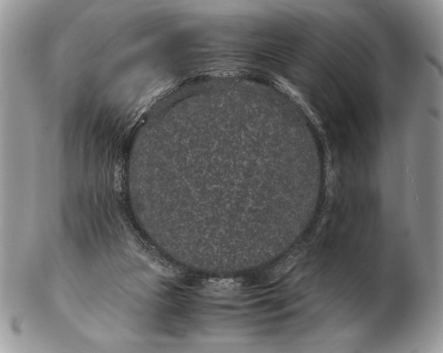 X0000102380161200808221810