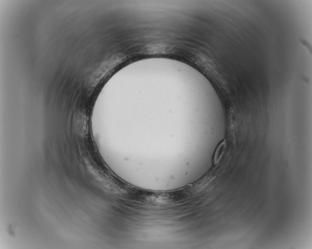 X0000102380164200808221810