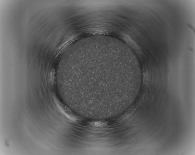 X0000102380165200808221810