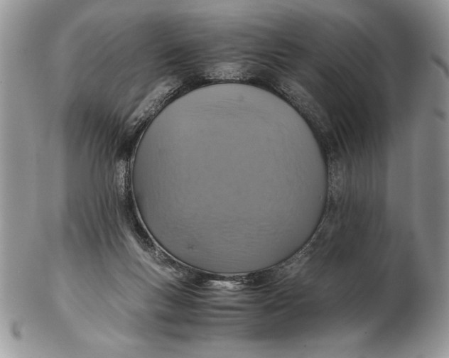 X0000102380167200808221810