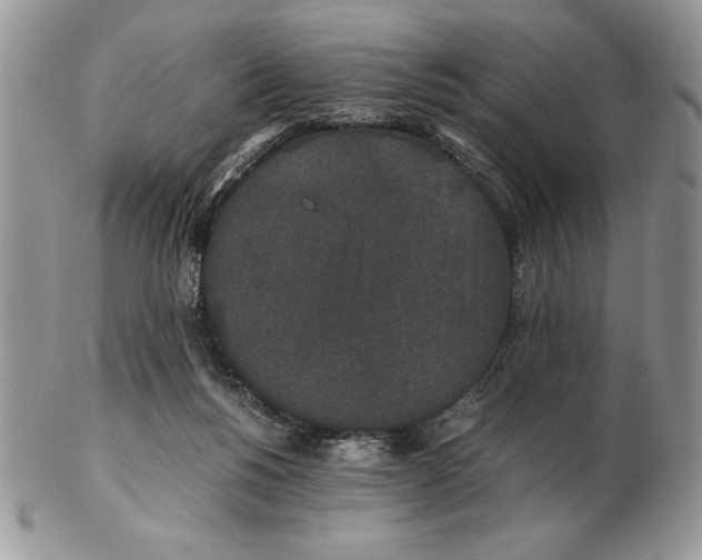 X0000102380168200808221810